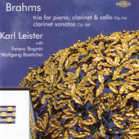 Sonata No. 1 for Clarinet and Piano in F minor, Op. 120, No.1: II. Allegretto grazioso_Karl Leister,Ferenc Bognár,Wolfgang Boettcher
