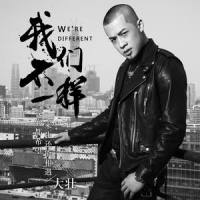 我们不一样_肖琴,大壮