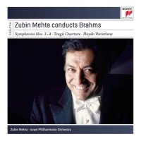 Variation VII: Grazioso (变奏七 柔和地)_Zubin Mehta,Johannes Brahms,Israel Philharmonic Orchestra