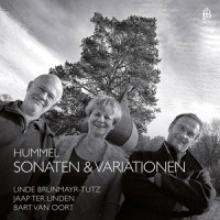 Variations in D Minor, Op. 54: Var. 7_Jaap Ter Linden,Johann Nepomuk Hummel