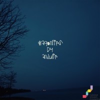 Dragonflies_Anjulie
