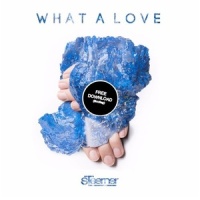 What A Love (Steerner Bootleg)_Steerner,Mike Mago