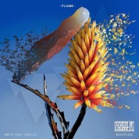 Say It (System Of Loudness Bootleg)_System of Loudness,Flume,Tove Lo