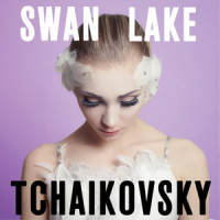 Swan Lake, Op. 20: No. 5, The Black Swan Pas de Deux: III. Variation 1_Victor Fedotov,Mariinsky Orchestra,Pyotr Ilyich Tchaikovsky