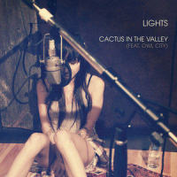 Cactus In the Valley_Lights,Owl City