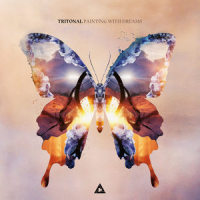 Painting With Dreams (Nothing Like Them)_Tritonal,Shy Martin