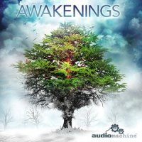 Tree of Life_Audiomachine