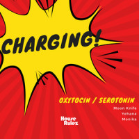 Charging_House Rulez,Monika