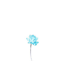 EMOTIONS_OLIVER (올리버)