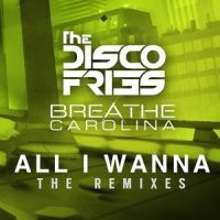 All I Wanna_Disco Fries,Breathe Carolina