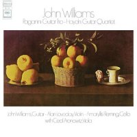 II. Minuetto and Trio - Allegro vivace (第二乐章 三重奏小步舞曲 - 活泼的快板)_John Williams,Alan Loveday,Amaryllis Fleming