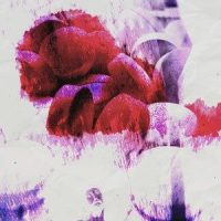 Pure Cure(Feat. Jvcki Wai)_HD BL4CK,Jvcki Wai
