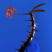 Fantastic_Flume,Glass Animals