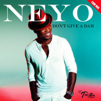 Don't Give a Dam (EDM)_Ne-Yo