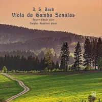 Sonata No. 1 in G Major, BWV 1027: IV. Allegro moderato_Alvaro Bitran,Nargiza Kamilova