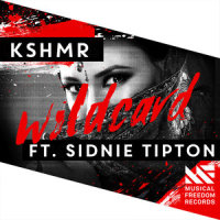 Wildcard_KSHMR