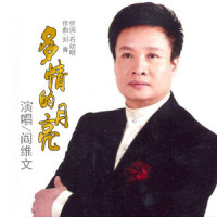 多情的月亮_阎维文