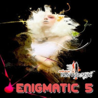 Chinese Enigmatical Music_王崴