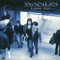 Little Bit・・・_WANDS