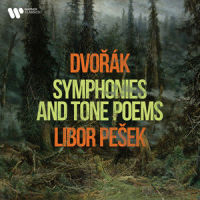 Symphony No. 8 in G Major, Op. 88, B. 163: III. Allegretto grazioso (第三乐章 优雅的小快板 - 十分活跃的)_Royal Liverpool Philharmonic Orchestra,Libor Pešek