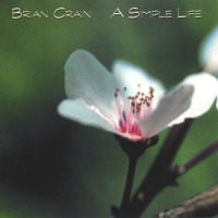 Voice from the Past_Brian Crain