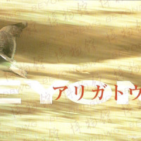 アリガトウ_BEYOND