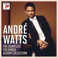 IV. Allegro marziale animato - Presto_Andre Watts,New York Philharmonic Orchestra,Franz Liszt,Leonard Bernstein