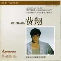 灰色_费翔