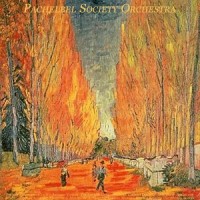 Canon and Gigue in D Major: I. Canon (D大调卡农和吉格舞曲:第一乐章 卡农)_Pachelbel Society Orchestra