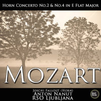 III. Rondo - Allegro vivace (第三乐章 回旋曲 - 活泼的快板)_Joschi Fallout,Anton Nanut,RSO Ljubljana