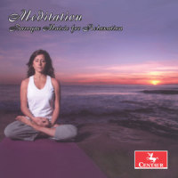 Keyboard Concerto in F Minor, BWV 1056: Harpsichord Concerto in F Minor, BWV 1056: II. Largo_Byron Schenkman,Seattle Baroque Orchestra,Ingrid Matthews