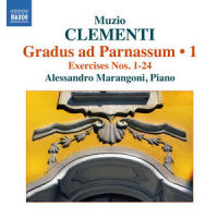 No. 16. Veloce_Alessandro Marangoni