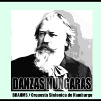 Fa Bemol Menor: Poco Sostenuto_Orquesta Sinfonica De Radio Hamburgo,Johannes Brahms,Oscar Ivanovich