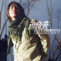 I Am In Love_沙宝亮