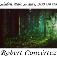 Sonata in C minor, D- 958 in C Minor, D958 I- Allegro_Classical Artists