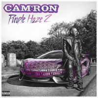 I Don't Know_Cam'ron,Wale