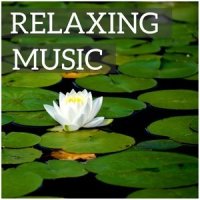 Dolly Suite, Op. 56 - Berceuse (洋娃娃组曲,作品56 - 摇篮曲)_Jacques Rouvier