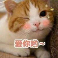 可能否_封茗囧菌