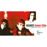Same Side_WANDS