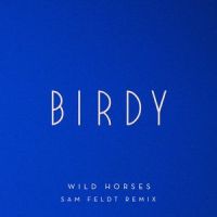 Wild Horses_Birdy