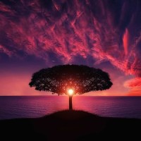 Deep Focus Meditation_Asian Zen Meditation,Japanese Relaxation and Meditation,Spa
