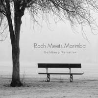 Goldberg Variation in G Major Bwv 988: Variation 1. a 1 Clav._Shinkai Soske,Johann Sebastian Bach