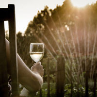 Sunny Day_Study Music Library,Spa Relaxation,Spa,Baby Sleep Music