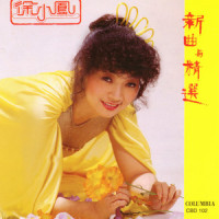 漫天风雨_徐小凤