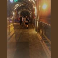 夜的路口_糸律,言和