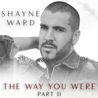 The Way You Were_Shayne Ward,Love To Infinity