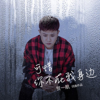 可惜你不在我身边_贺一航