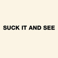 Brick By Brick_Arctic Monkeys