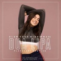 Blow Your Mind (Mwah) (PlayHeart Bootleg)_Playheart,Dua Lipa