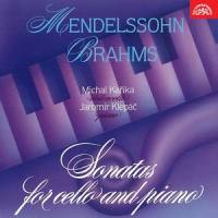 Sonata No. 2 in D Major, Op. 58: II. Allegretto scherzando_Jaromir Klepac,Felix Mendelssohn,Michal Kaňka